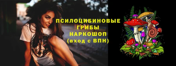 spice Горнозаводск