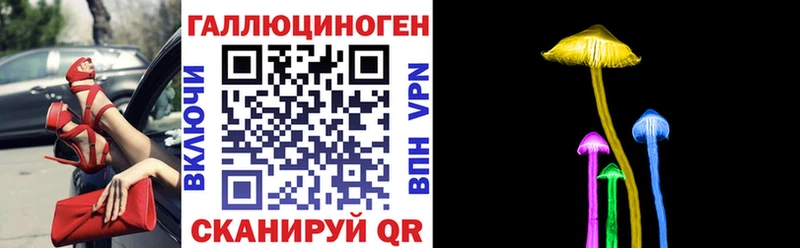 сколько стоит  Грозный  Псилоцибиновые грибы Cubensis 