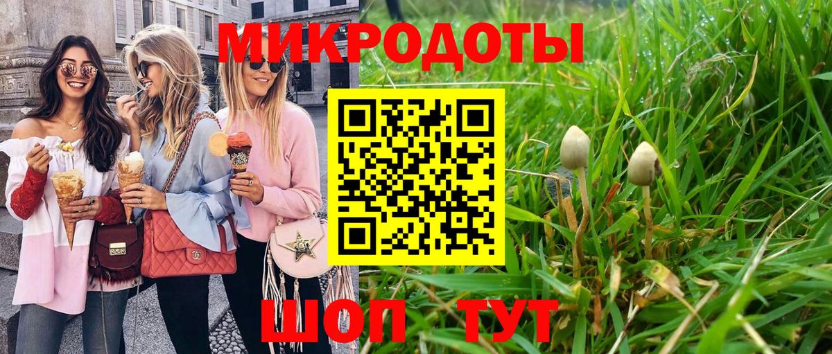 Галлюциногенные грибы Psilocybine cubensis Грозный