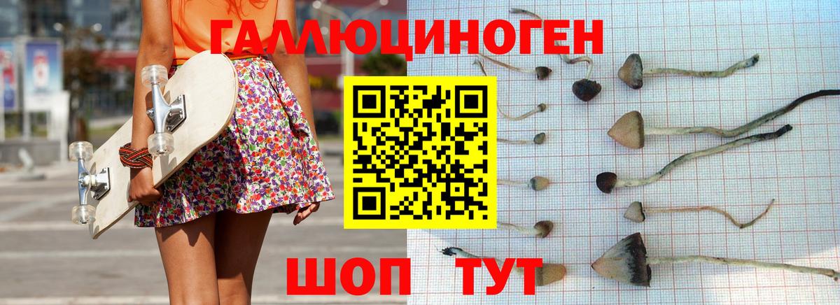 Псилоцибиновые грибы Magic Shrooms  Вход с VPN  Галлюциногенные грибы мицелий  Грозный 