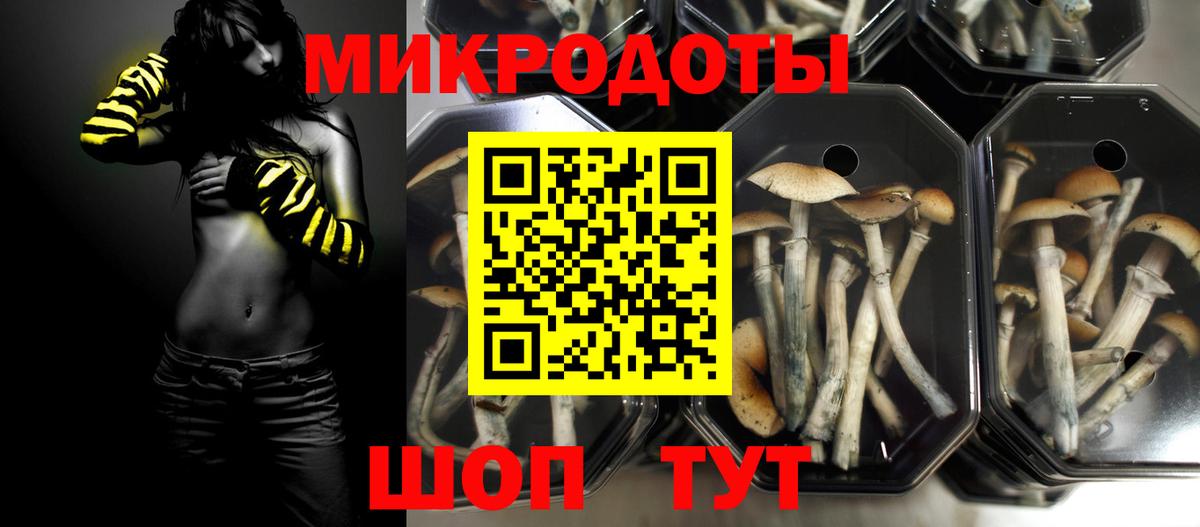 Псилоцибиновые грибы Magic Shrooms Грозный