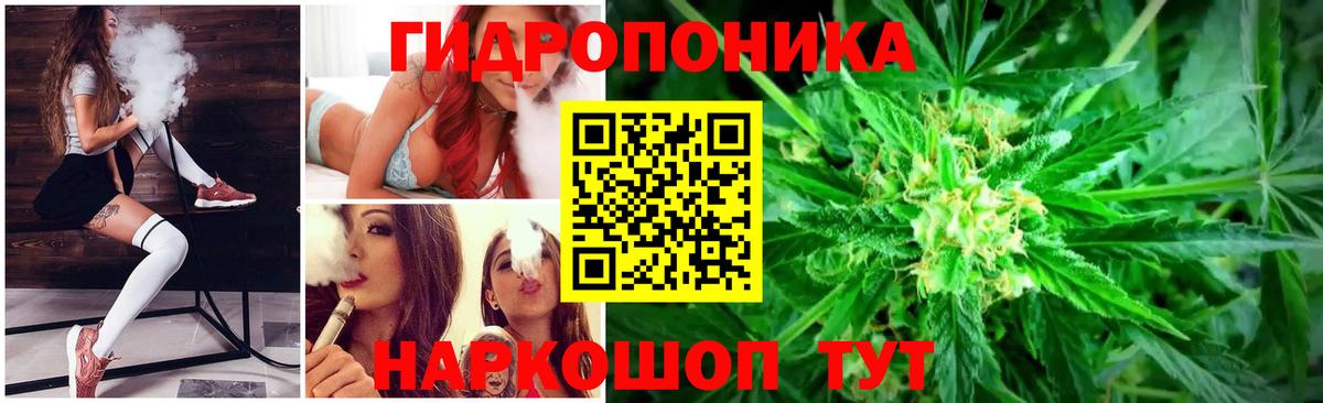 Каннабис сатива  Вход с VPN  Канабис планчик  Шишки марихуана OG Kush  Конопля Ganja  Грозный 